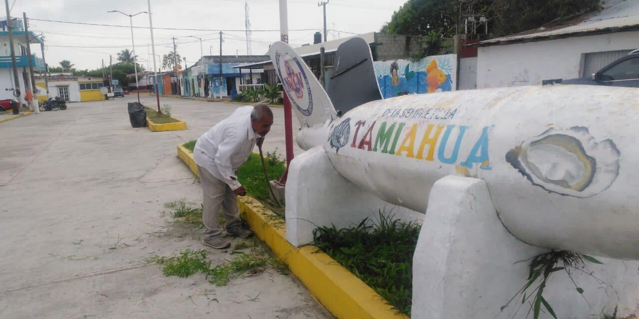 Tamiahua: Limpieza en la zona centro