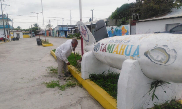 Tamiahua: Limpieza en la zona centro