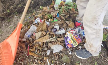 Coatzintla: Basura en parques y jardines retrasa el trabajo y perjudica la imagen urbana