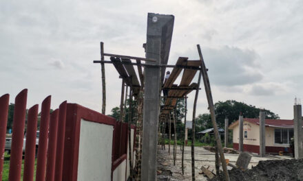 Tamiahua: Construcción de techado de escuela primaria en Dr. La Vista