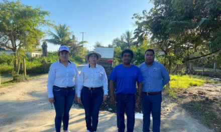 Tamiahua: Continúan los trabajos de rehabilitación del camino Tamiahua – Palo Blanco