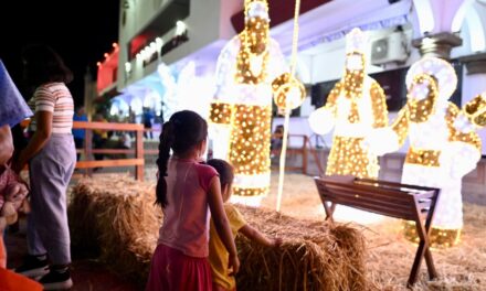 Se realizó el encendido del Árbol Navideño