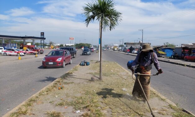 Martínez de la Torre: Parques y Jardines continúa con el saneamiento de bulevares y otras áreas de la cabecera municipal