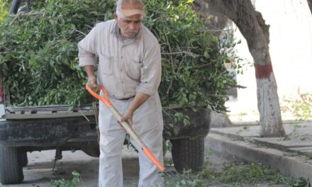 Pánuco: Mantenimiento a todos los espacios recreativos, áreas verdes