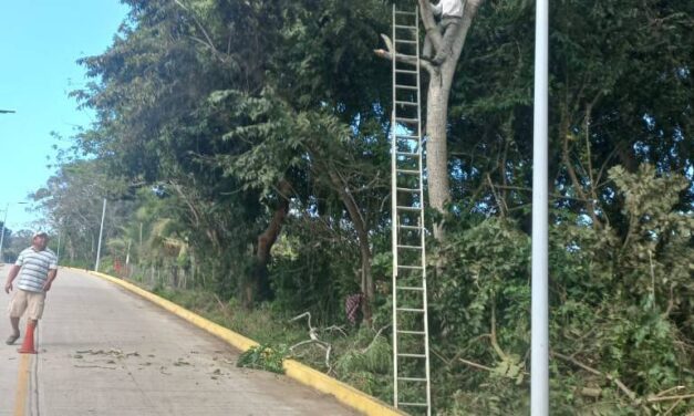 Ozuluama: Trabajos de limpieza en Horconcitos