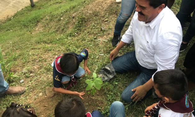 Tihuatlán: 26 de Enero es el día Mundial de la Educación Ambiental