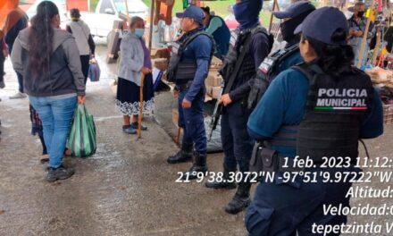 Tepetzintla: Seguridad, Vigilancia y proximidad