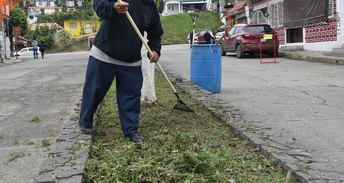 Tepetzintla: limpieza del boulevard y camellones del municipio 
