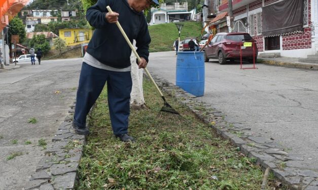 Tepetzintla: limpieza del boulevard y camellones del municipio 