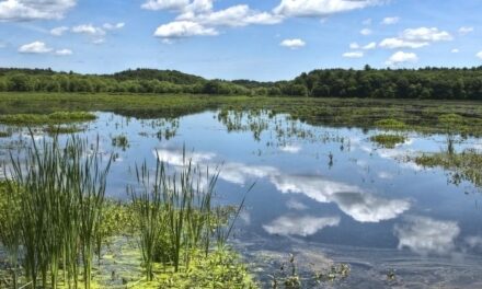 Ozuluama: Dia mundial de los Humedales