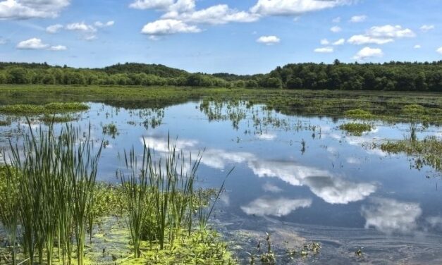 Ozuluama: Dia mundial de los Humedales