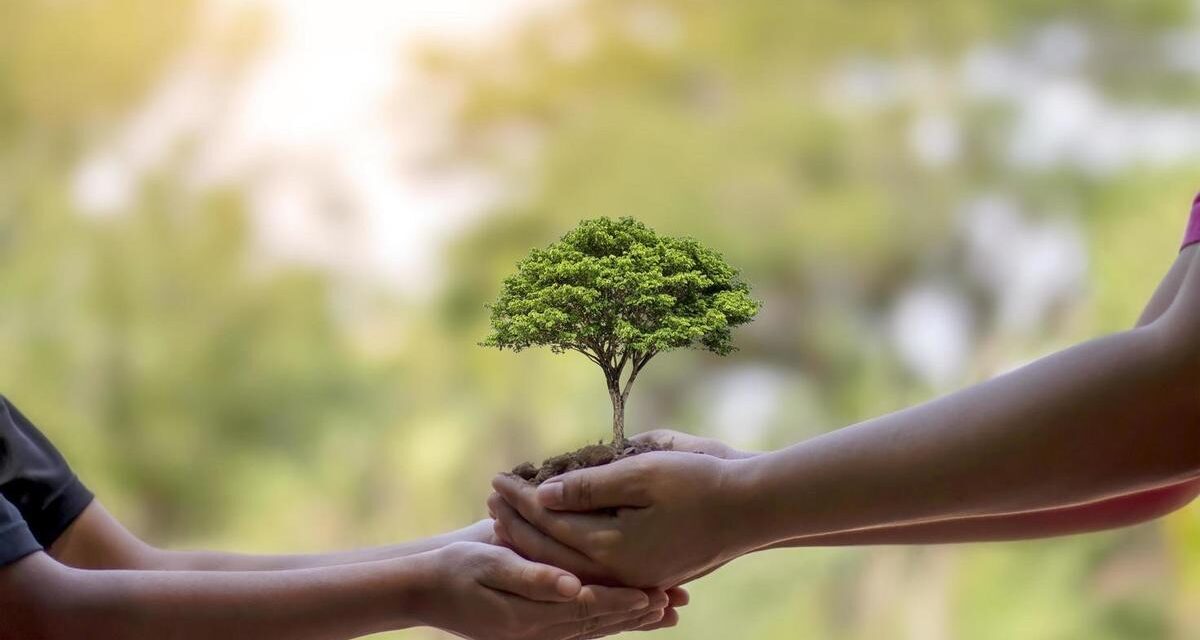 Naranjos: Día Mundial de la Naturaleza 2023