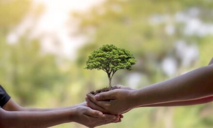 Naranjos: Día Mundial de la Naturaleza 2023