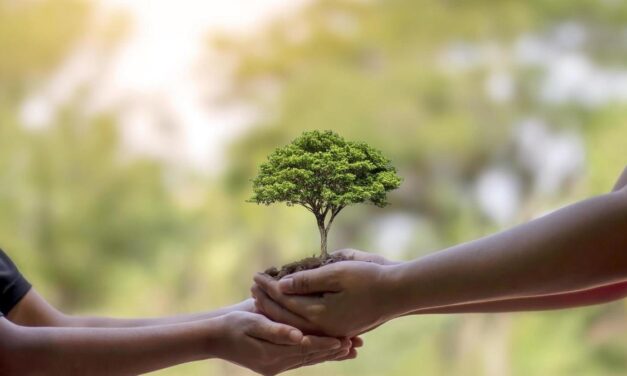 Naranjos: Día Mundial de la Naturaleza 2023