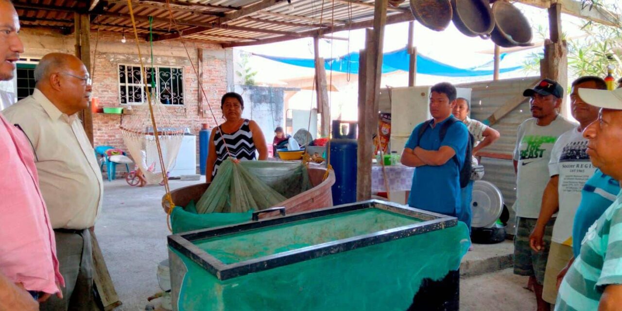 Coatzintla: Extensionistas de SEDARPA preparan biofertilizantes con el equipo promotor de desarrollo rural de la dependencia