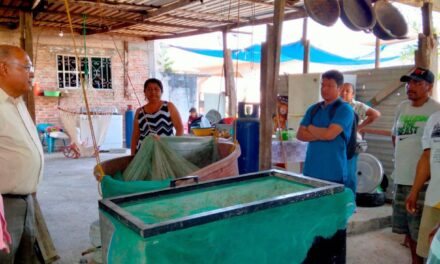 Coatzintla: Extensionistas de SEDARPA preparan biofertilizantes con el equipo promotor de desarrollo rural de la dependencia