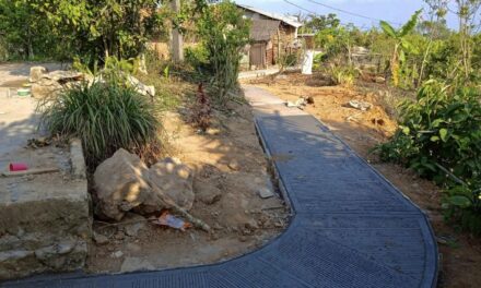 Mecatlán: Apoyo con construcción de andador peatonal en callejón las palmas