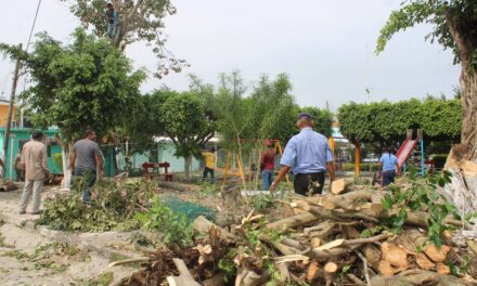 Coatzintla: Se atiende parque de infonavit camioneros