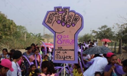 Ozuluama: Marcha 8m en tierra y libertad
