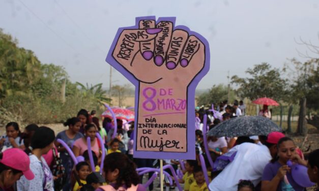 Ozuluama: Marcha 8m en tierra y libertad