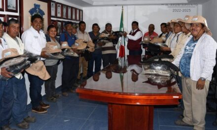 Citlaltépetl: Se reconoce la gran labor de limpia pública