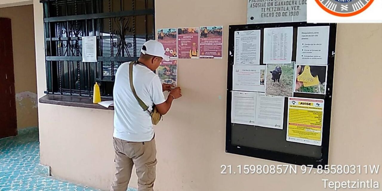 Tepetzintla: Se coloca la infografía que envía la SPCVER y CONAFOR