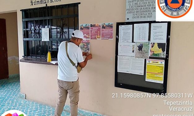 Tepetzintla: Se coloca la infografía que envía la SPCVER y CONAFOR