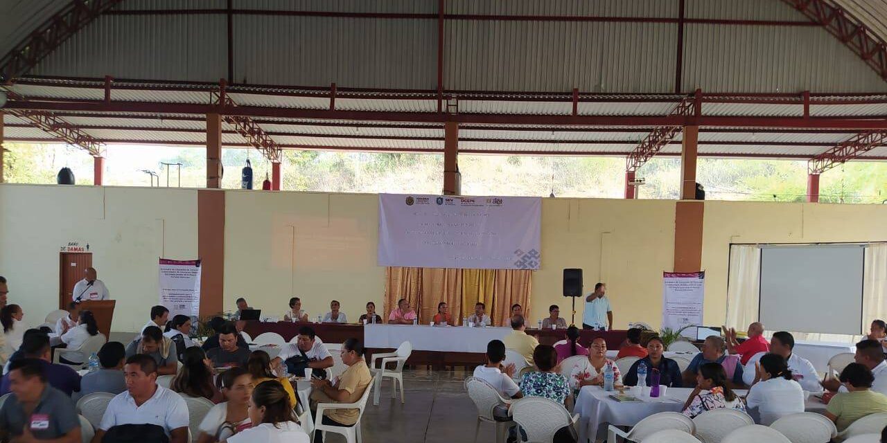 Tempoal: «Acompañamiento para la comprensión y contextualización del Plan de Estudios para la Educación Preescolar, Primaria y Secundaria»