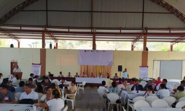 Tempoal: «Acompañamiento para la comprensión y contextualización del Plan de Estudios para la Educación Preescolar, Primaria y Secundaria»