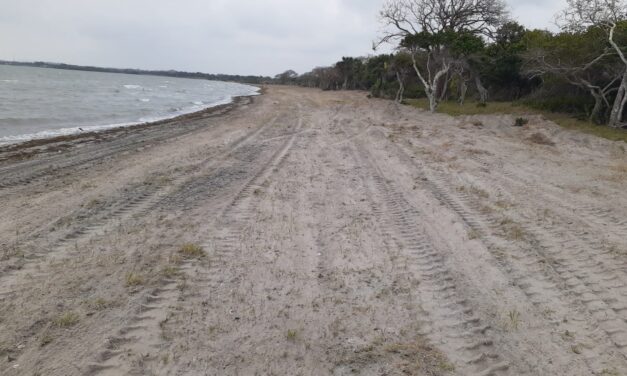 Ozuluama: Realizan los trabajos de rehabilitación de la playa