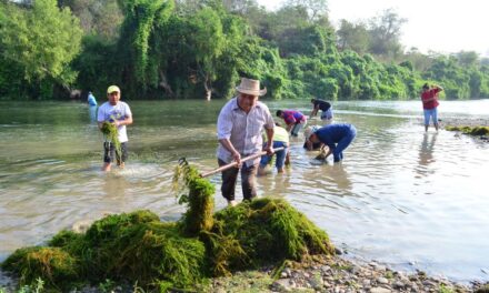 Platón Sánchez: Faena en la playa La Rivera