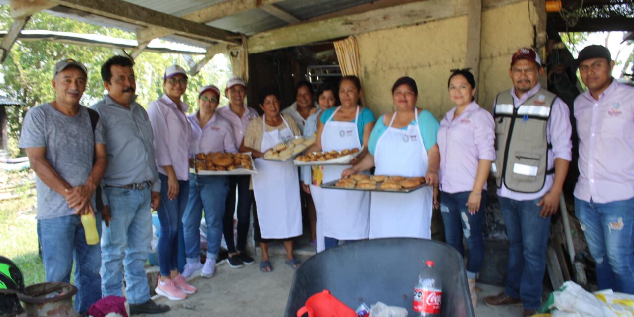 Proyectos productivos en acción en la comunidades de Ozuluama