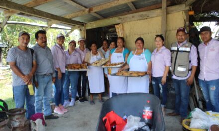 Proyectos productivos en acción en la comunidades de Ozuluama