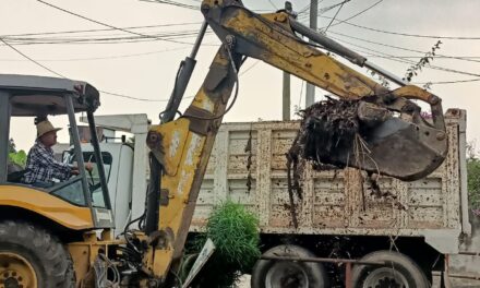 Martínez de la Torre: Trabajos de desazolve de arroyos y caños de respuesta rápida