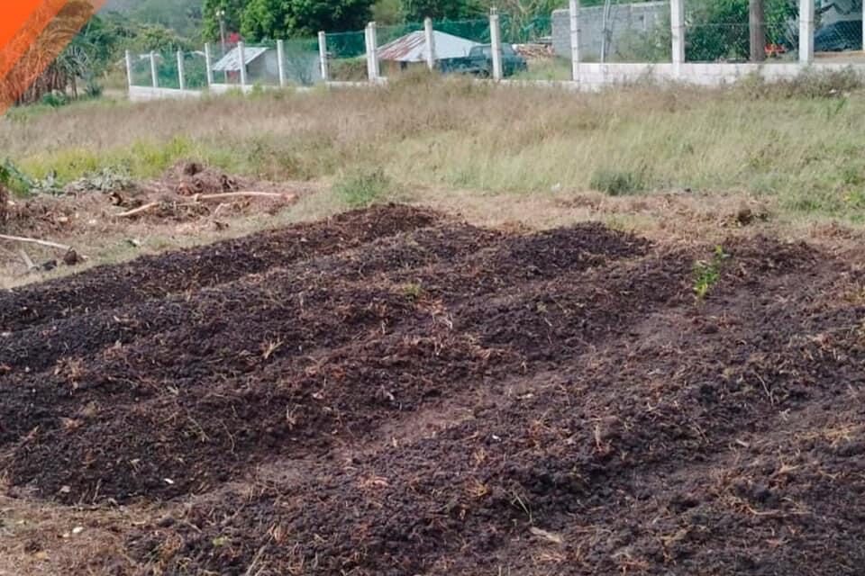Tepetzintla: camas para hortalizas