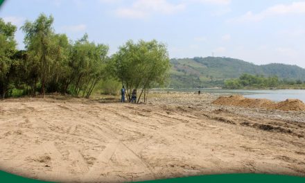 Espinal: Rehabilitación de la orilla del Río Tecolutla