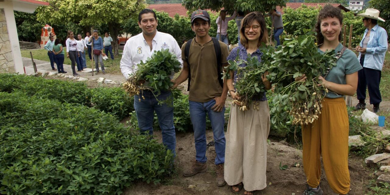 Zozocolco: Donación de 120 plantas de Canela por parte La Joya del Campo