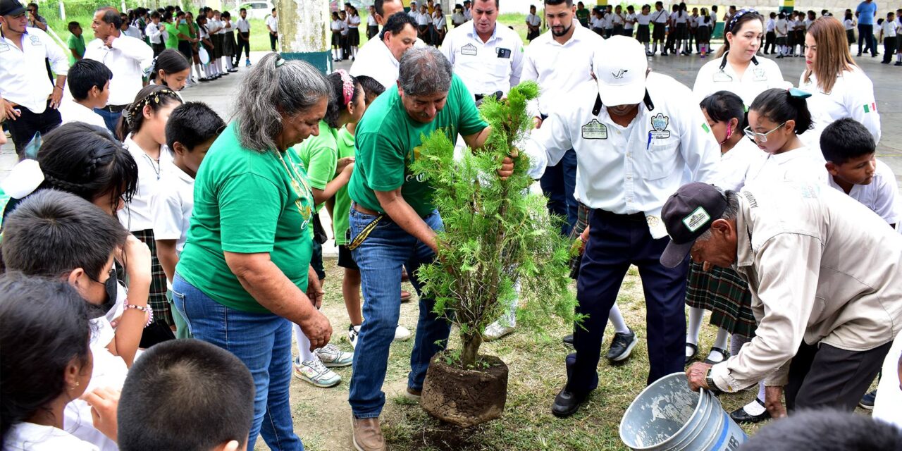 Naranjos: Día Mundial del Medio Ambiente «Planta un Árbol»