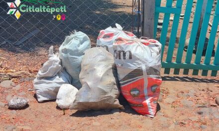 Citlaltépetl: Continúan las actividades de descacharrización