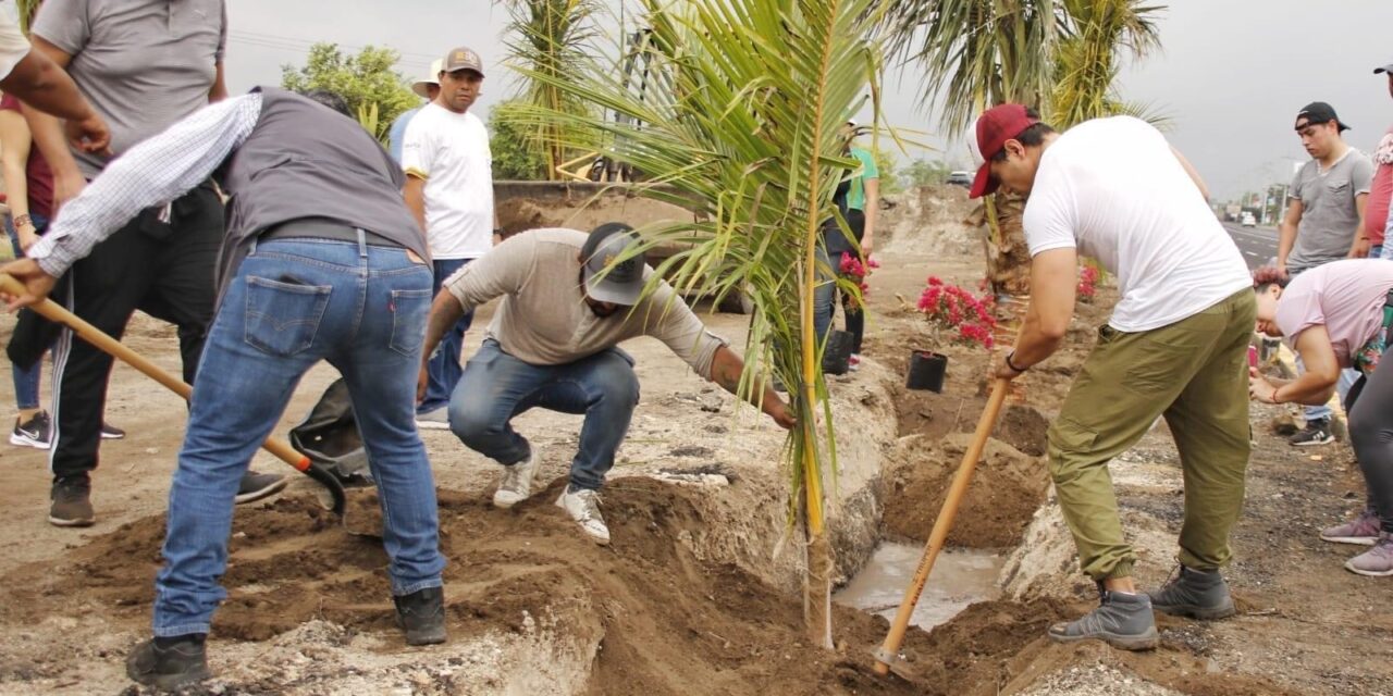 Tantima: labores de limpieza, chapeo y restauración de áreas verdes en la localidad Tamarindo del municipio de Puente Nacional