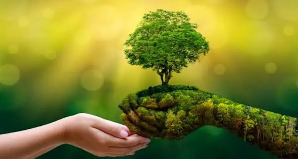 Platón Sánchez: Día Mundial del Medio Ambiente 2023