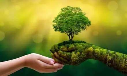 Platón Sánchez: Día Mundial del Medio Ambiente 2023