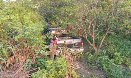 Álamo: Camioneta voladora