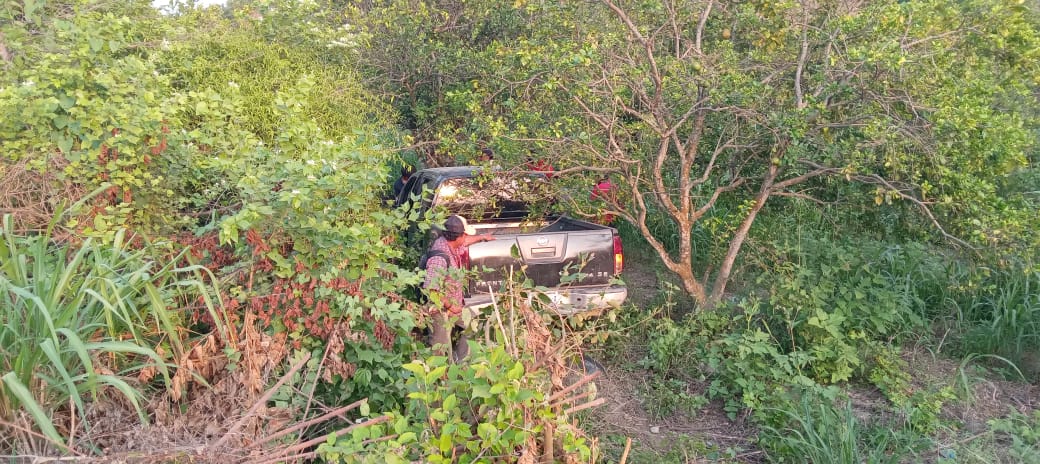 Álamo: Camioneta voladora