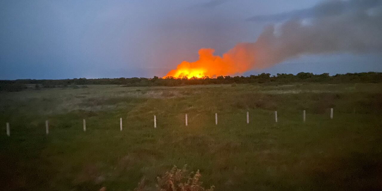 Tuxpan: En vigilancia incendio en zona de tulares  
