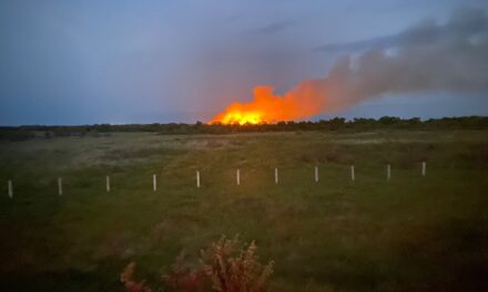 Tuxpan: En vigilancia incendio en zona de tulares  