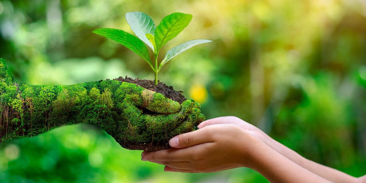 Álamo: Programa del Día Mundial de Medio Ambiente 2023