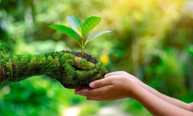 Álamo: Programa del Día Mundial de Medio Ambiente 2023