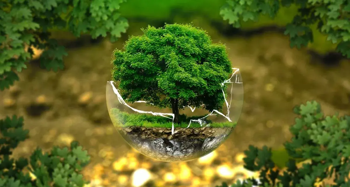 Ozuluama: Día Mundial del Medio Ambiente 2023