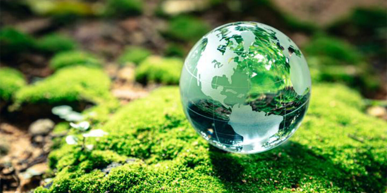 Álamo: Día del Medio Ambiente 2023